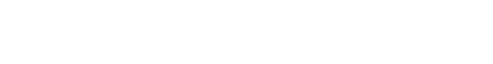 light logo
